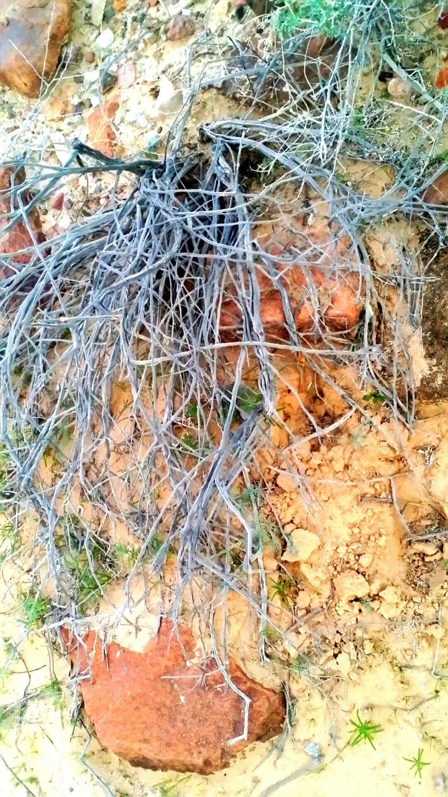 2014-01-17 19.18.41.jpg image