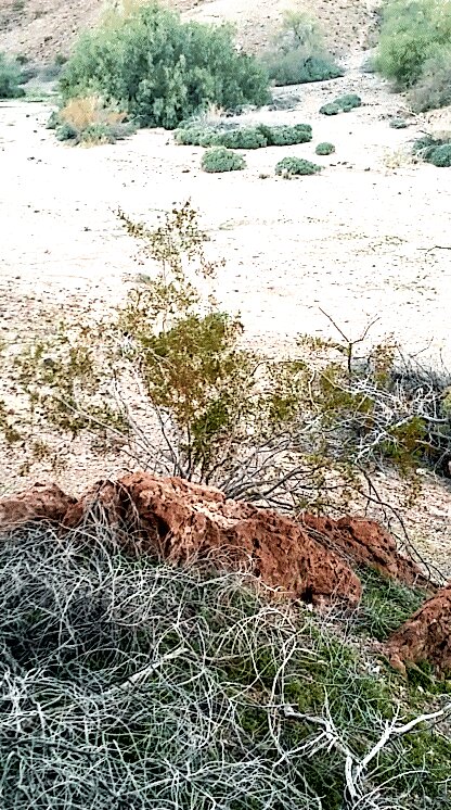 2014-01-17 19.44.43.png image