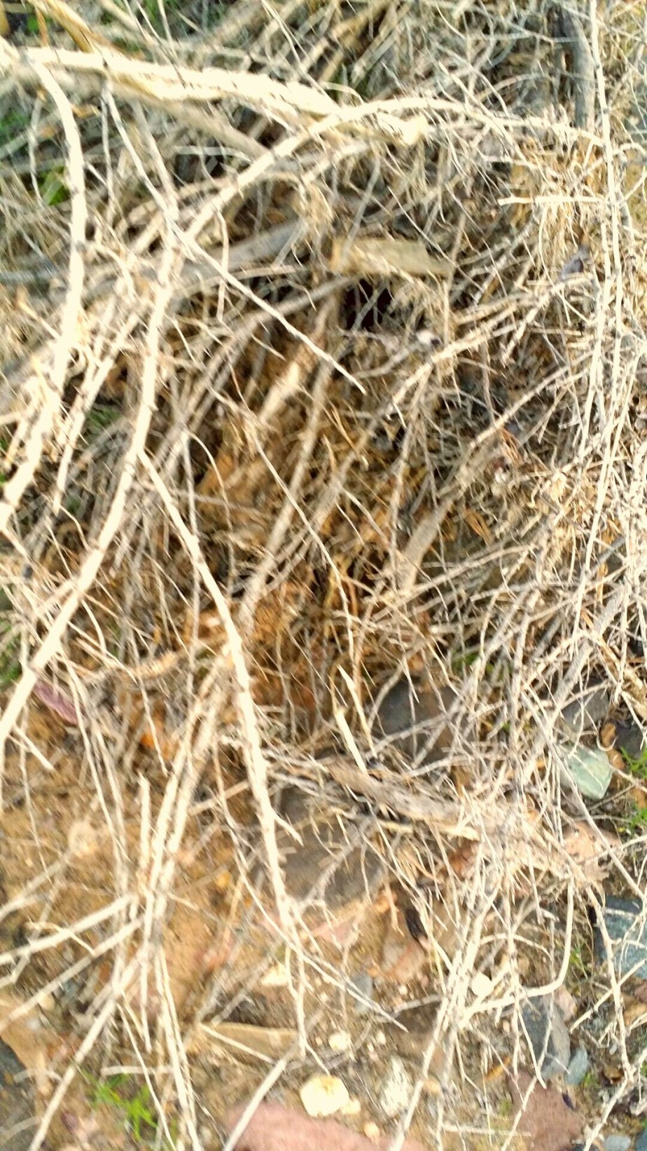 2014-01-18 17.26.08.jpg image