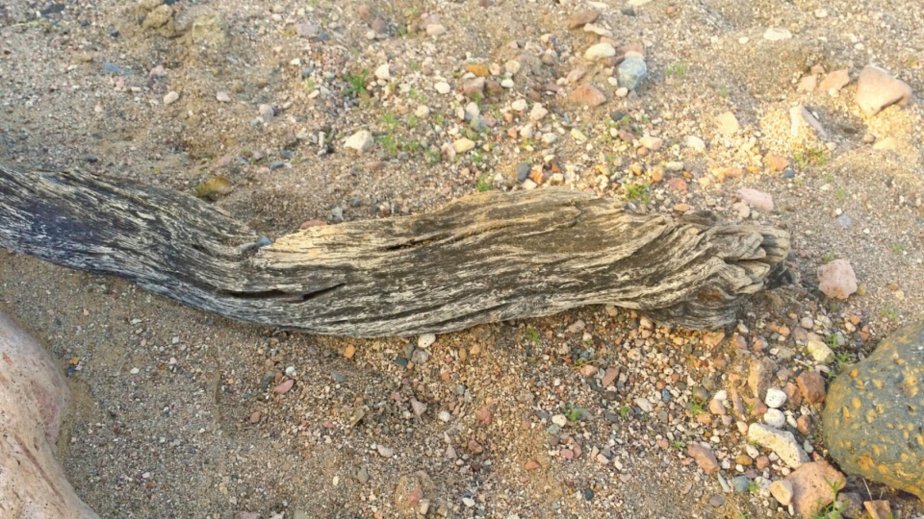 2014-01-18 17.30.00.jpg image