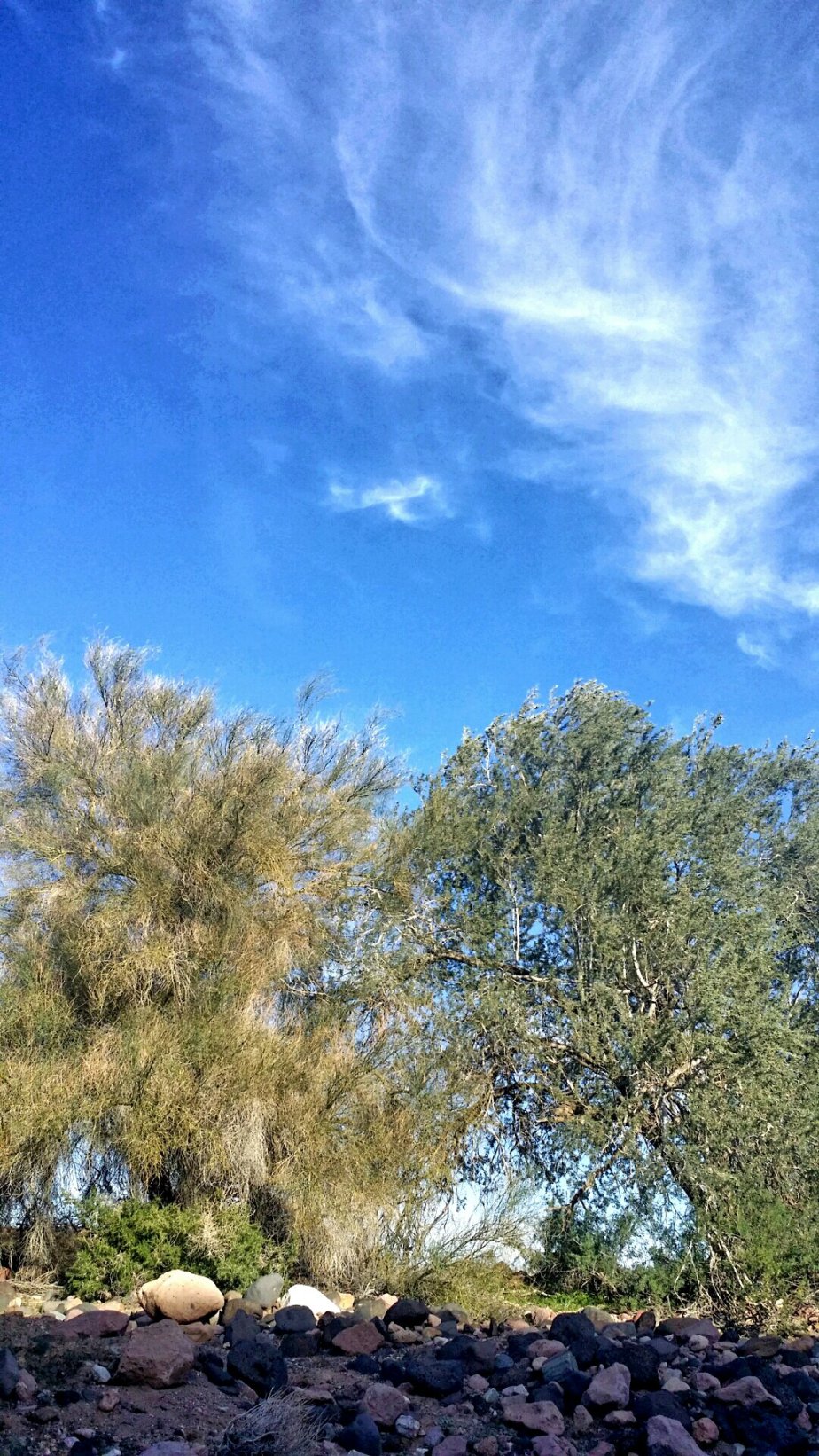 2014-01-18 17.43.35.jpg image