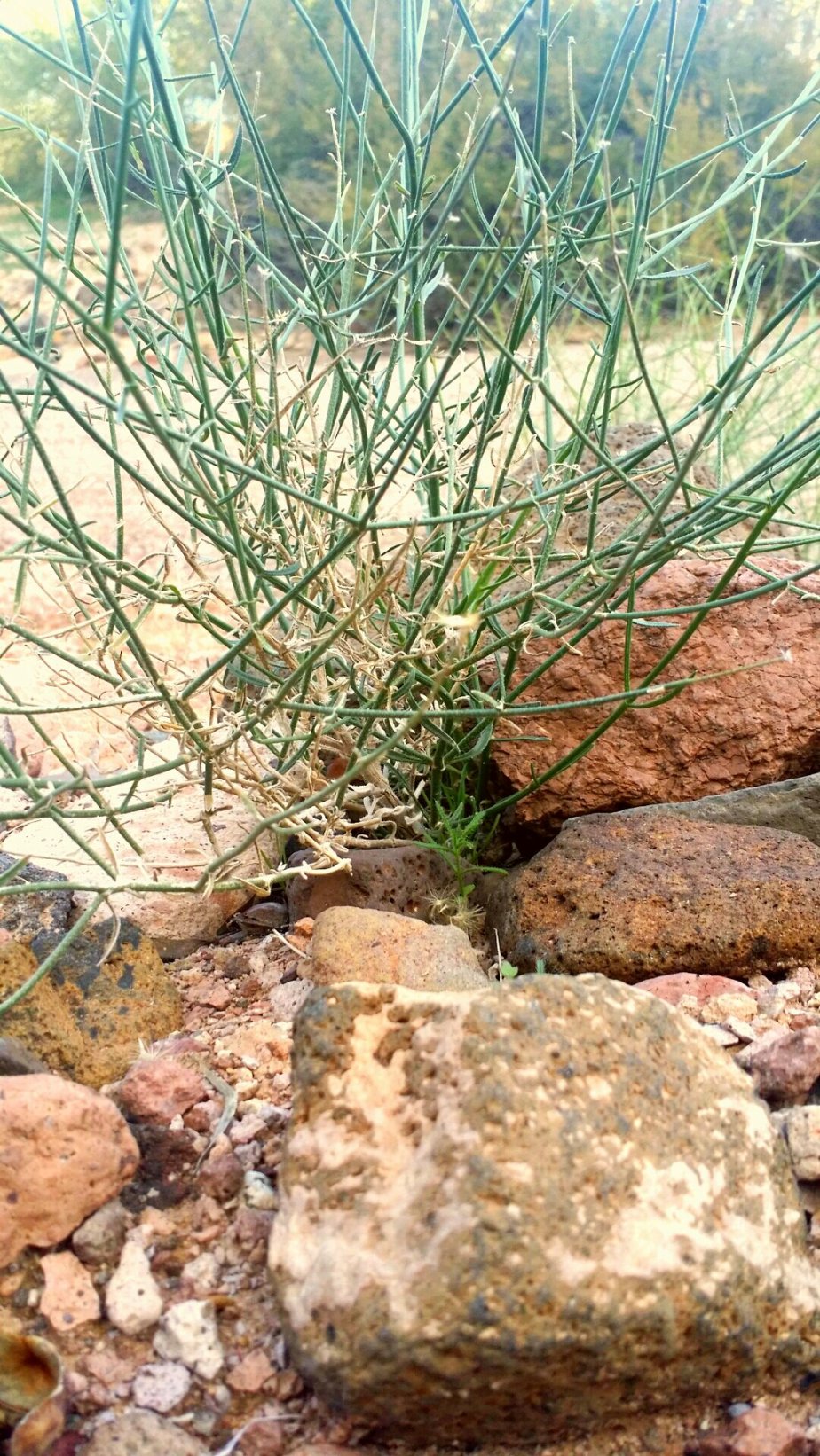 2014-01-18 17.57.56.jpg image