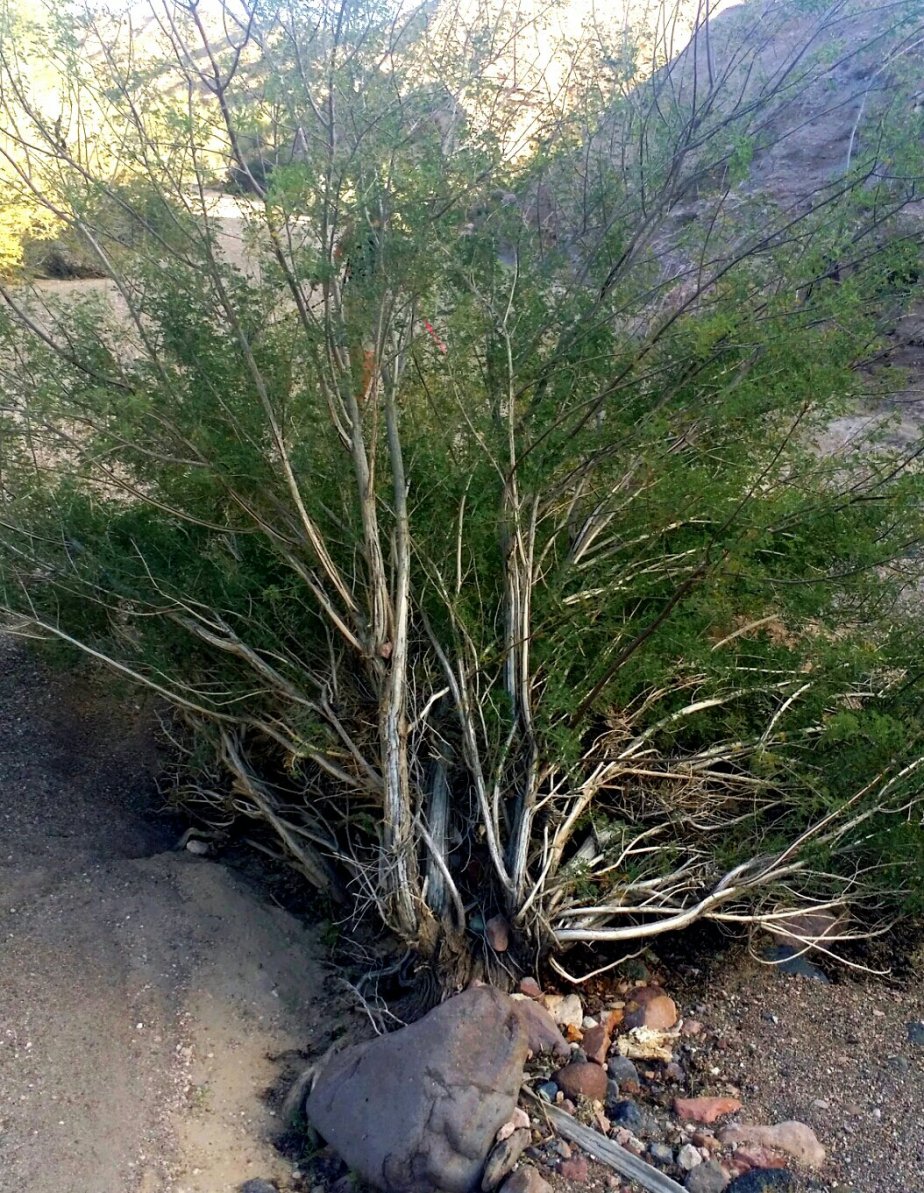 2014-01-18 18.28.30.jpg image