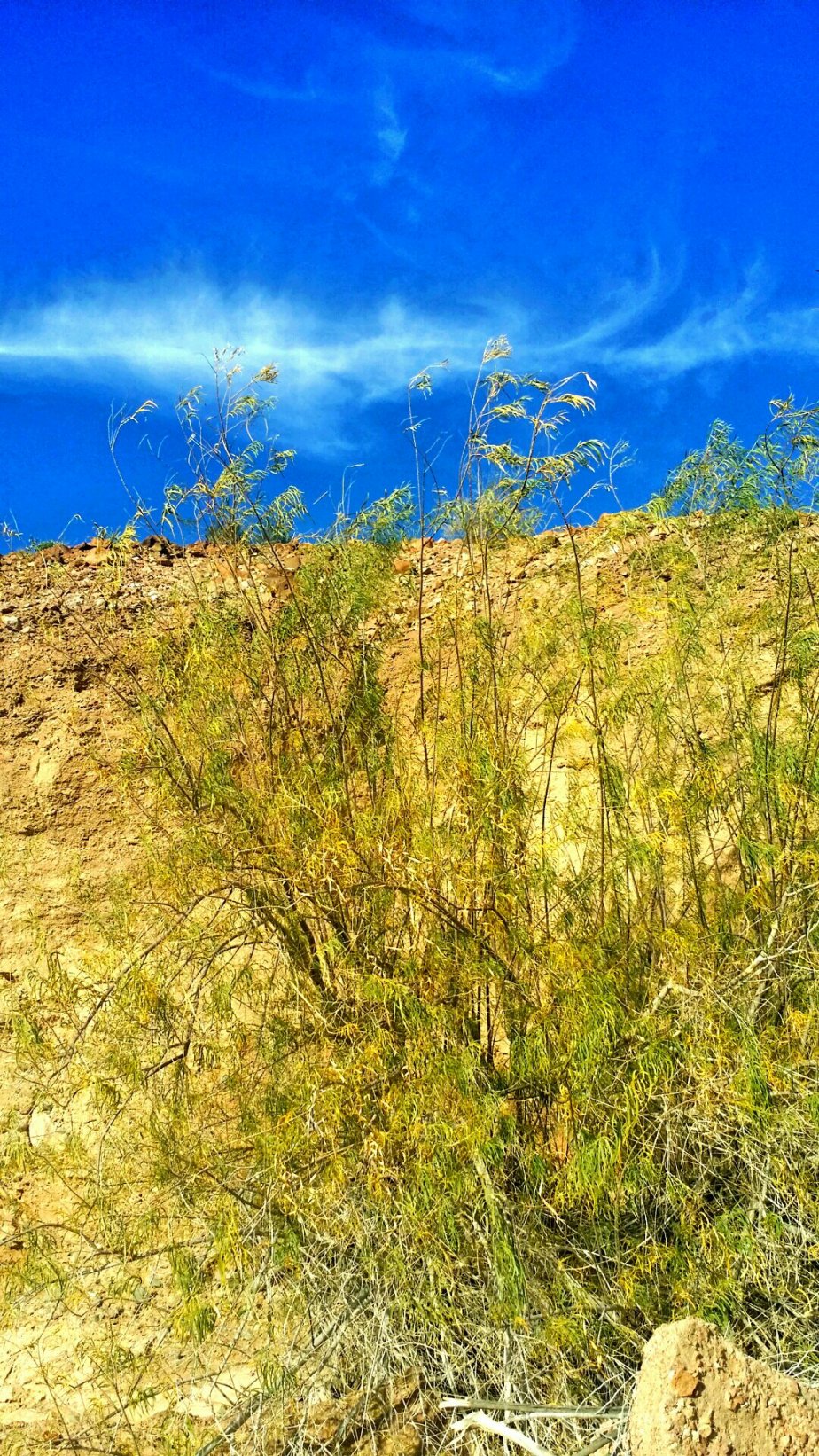 2014-01-18 18.37.08.jpg image