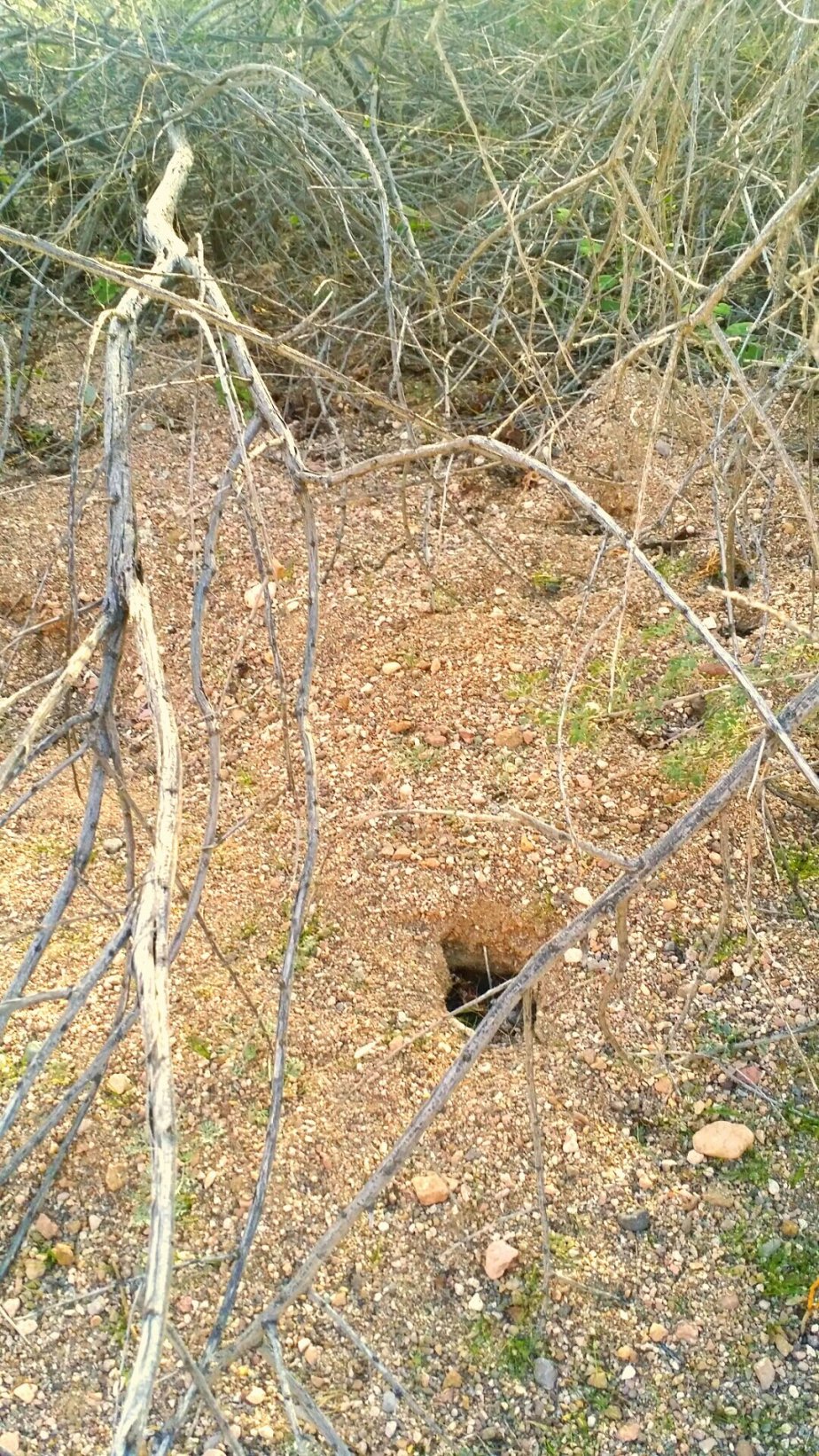 2014-01-18 18.59.36.jpg image