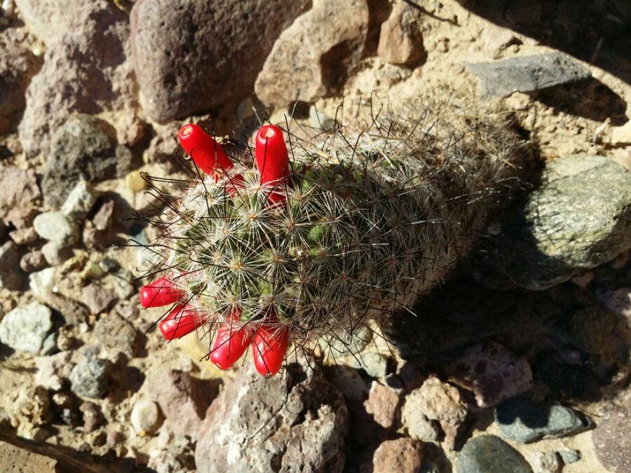 20140105_102514.jpg image