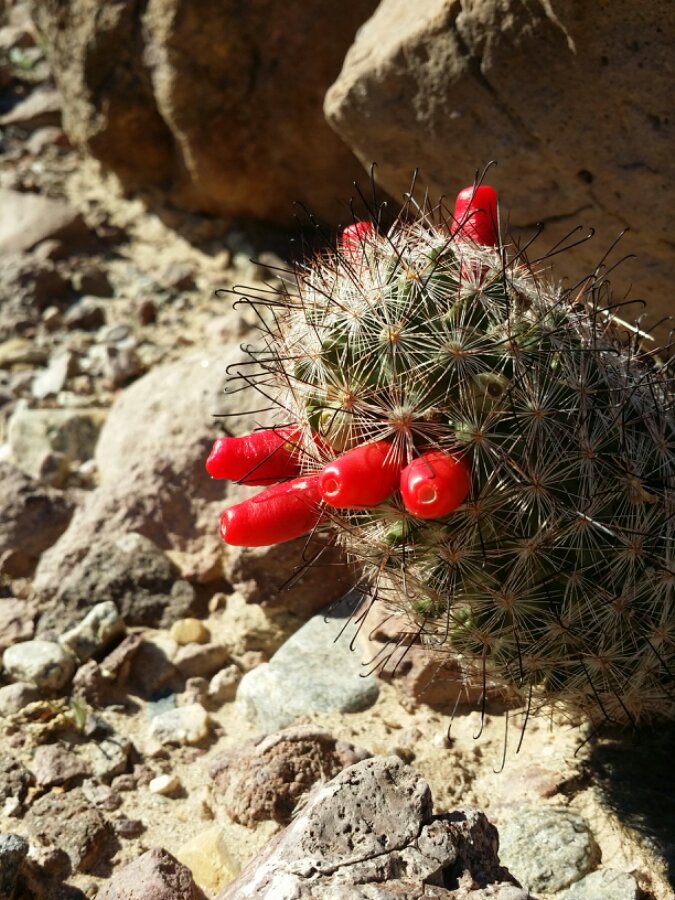 20140105_102522.jpg image