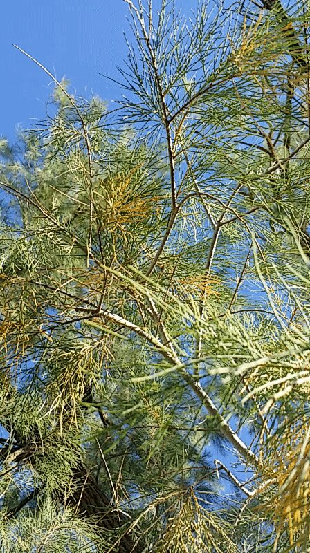 20140105_144118.gif image