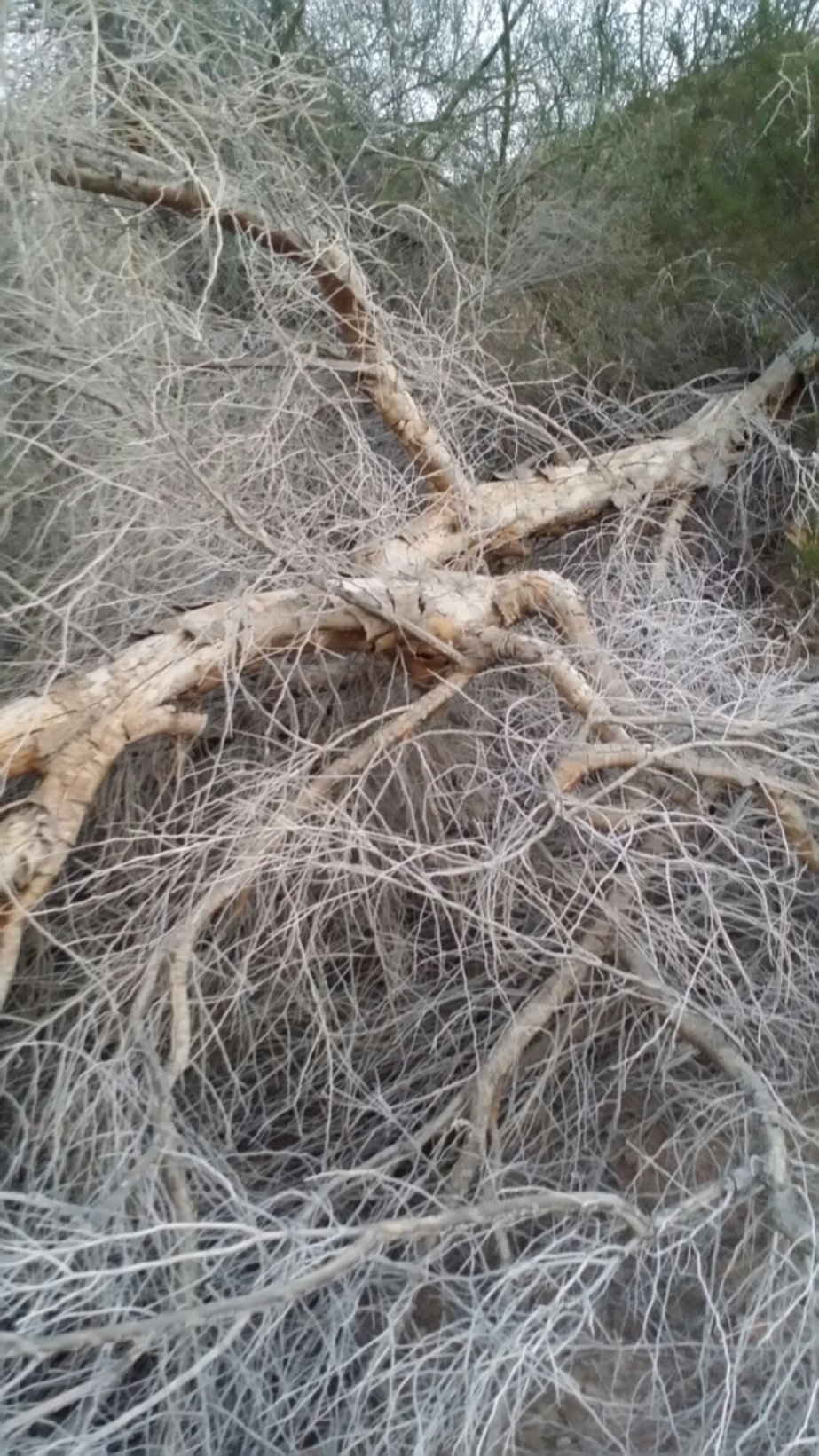 20140117_180507.jpg image