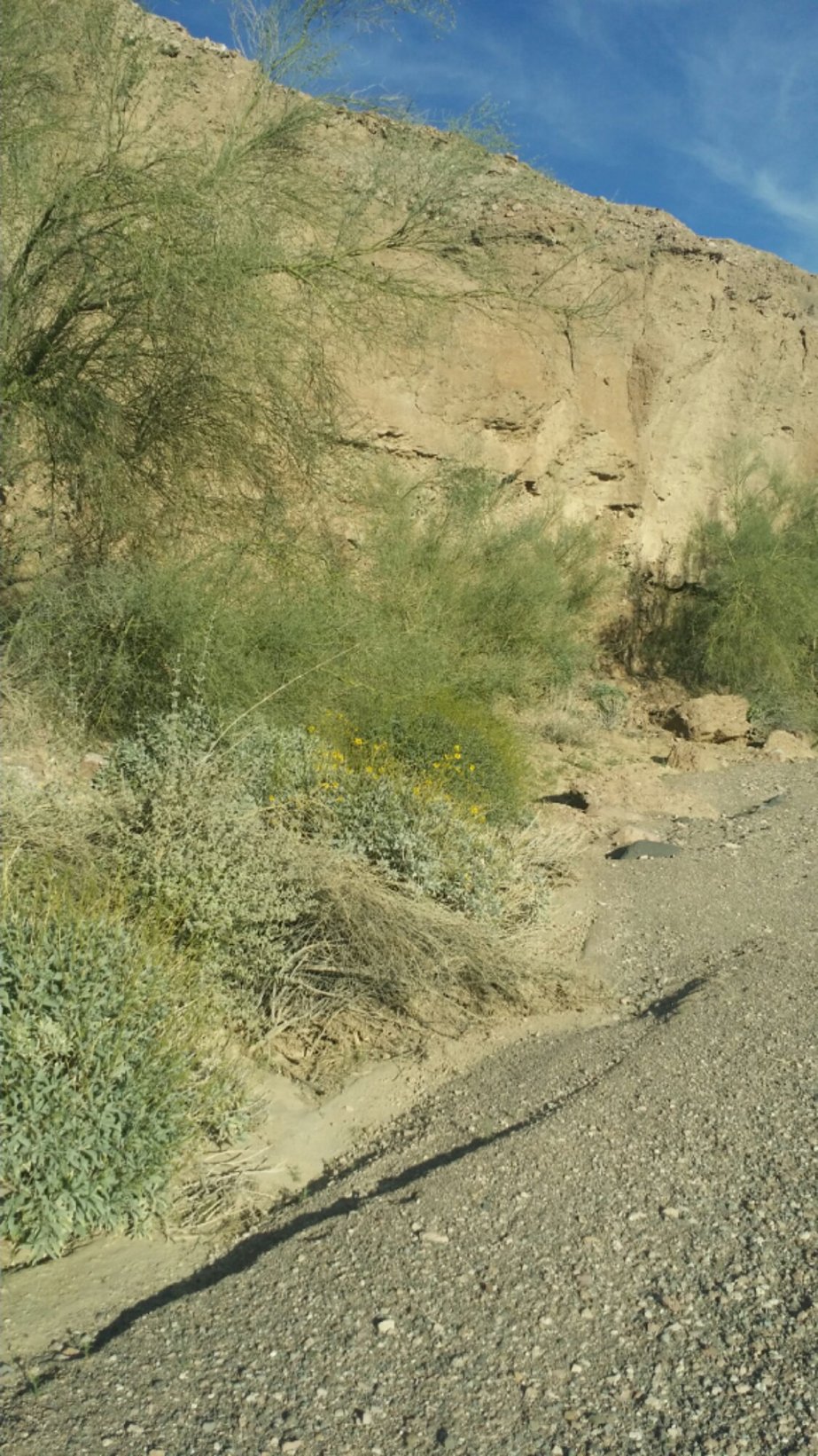 20140118_161315.jpg image