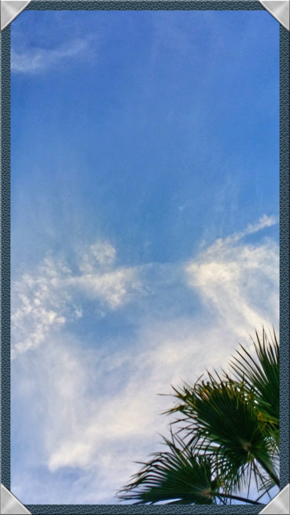 2014-03-05 18.24.27.jpg image