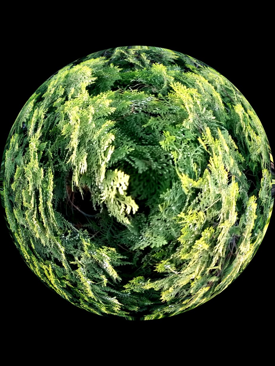 2014-03-17 16.54.18.jpg image