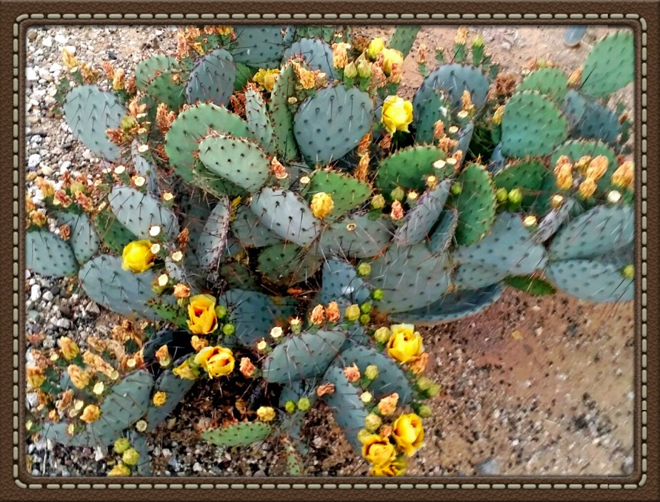 2014-03-18 23.20.53.jpg image