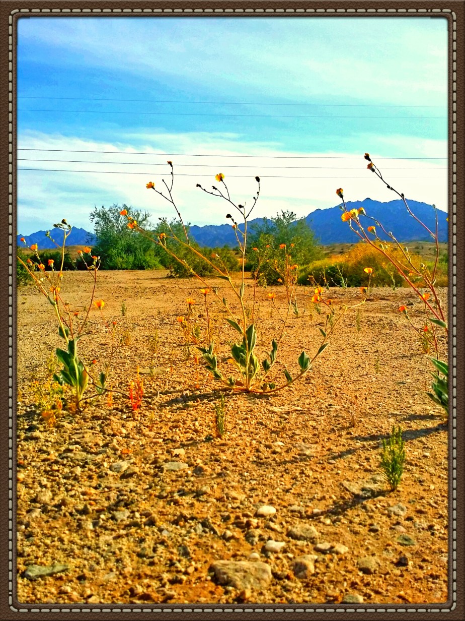 2014-03-18 23.25.58.jpg image