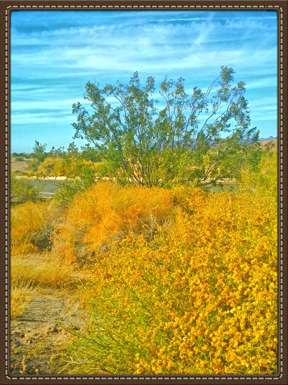 2014-03-18 23.27.29.jpg image