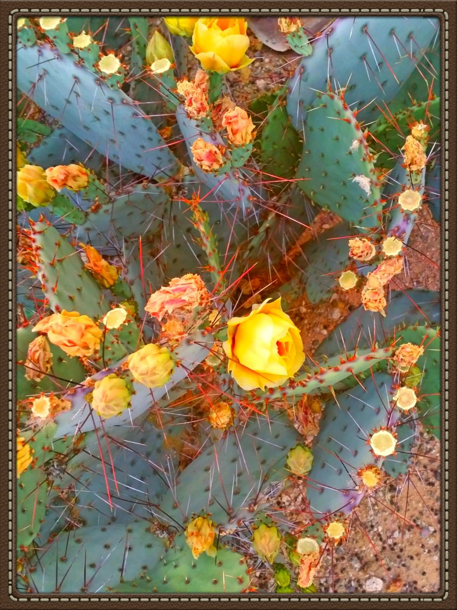 2014-03-18 23.29.51.jpg image