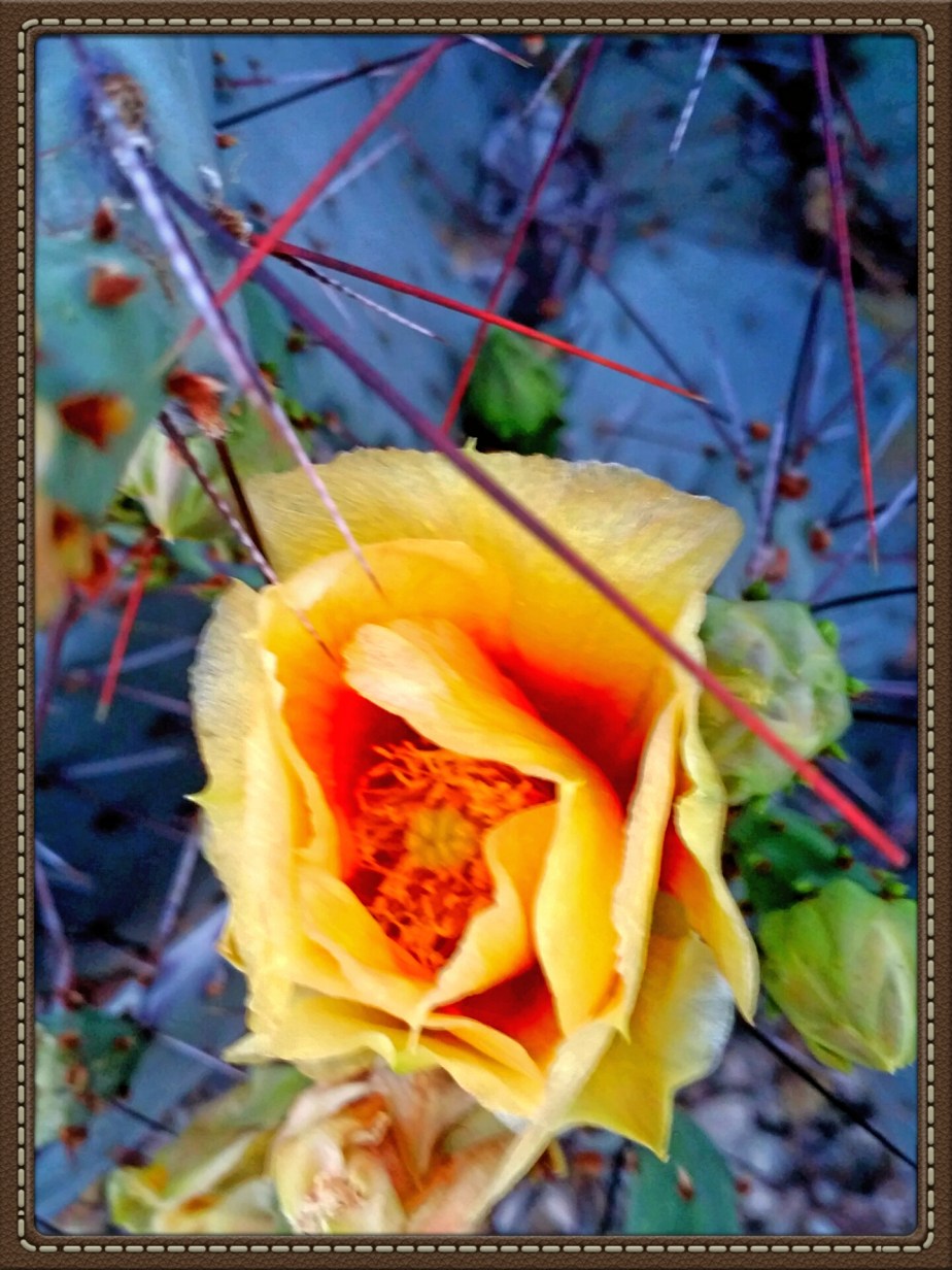 2014-03-18 23.30.41.jpg image