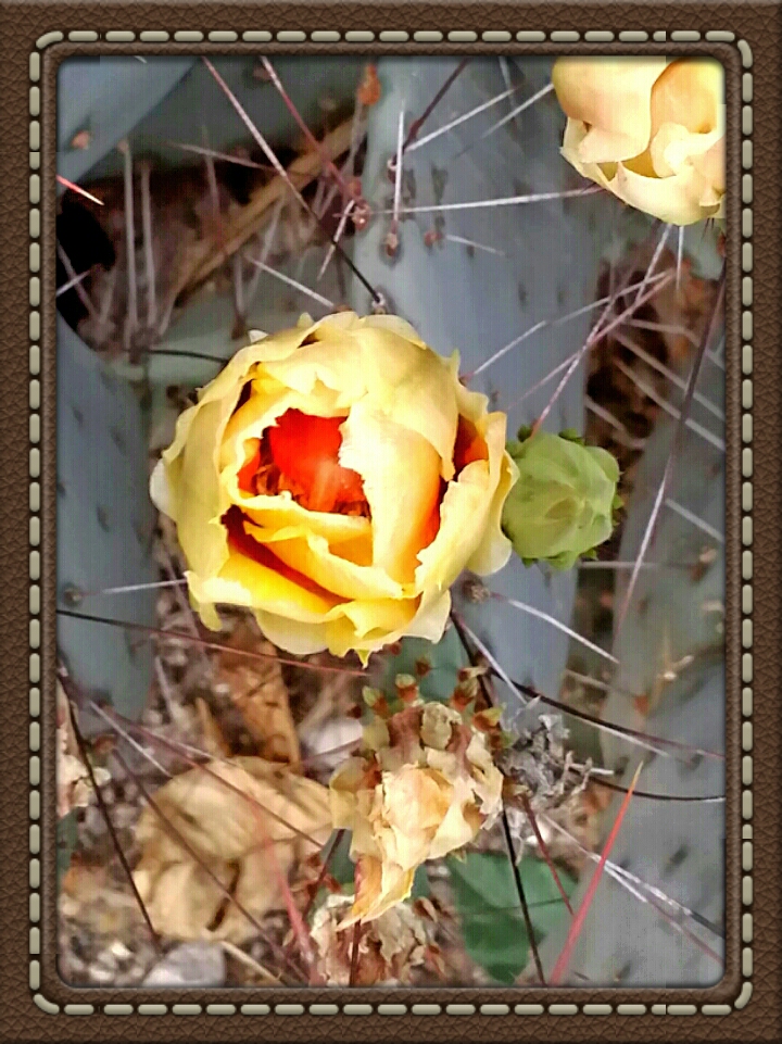 2014-03-18 23.31.13.jpg image