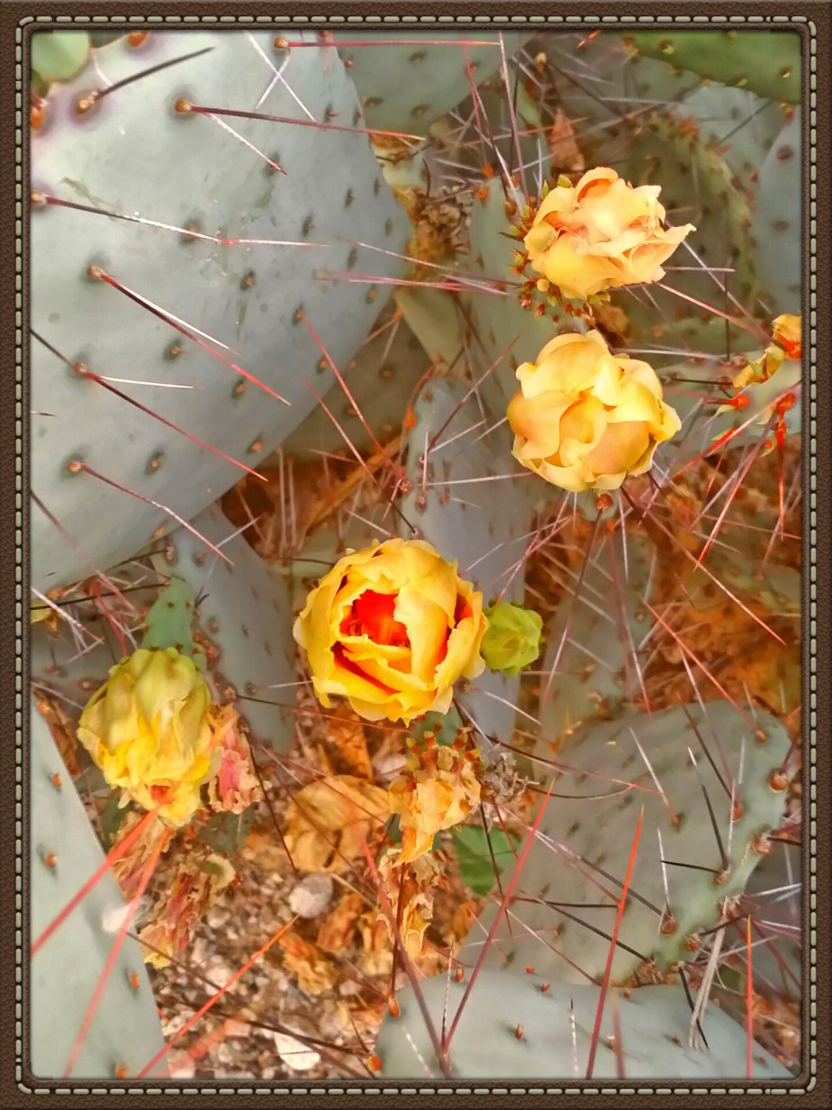 2014-03-18 23.32.00.jpg image