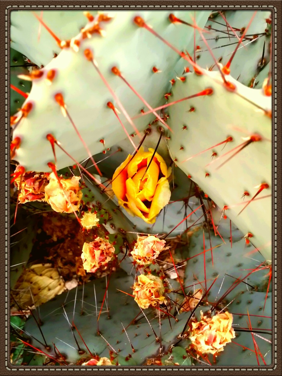 2014-03-18 23.33.03.jpg image