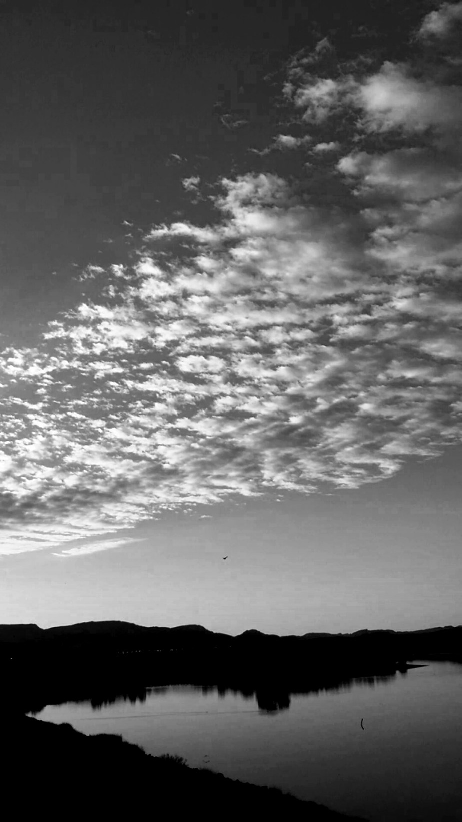 2014-03-19 07.57.55.jpg image