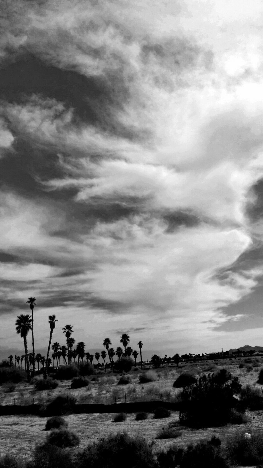 2014-03-19 08.10.21.jpg image