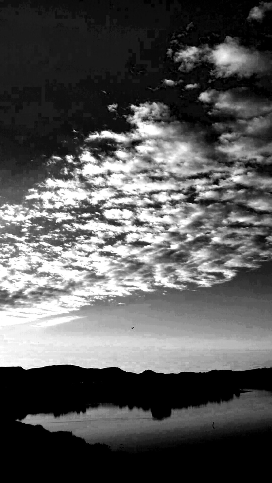 2014-03-19 08.20.21.jpg image