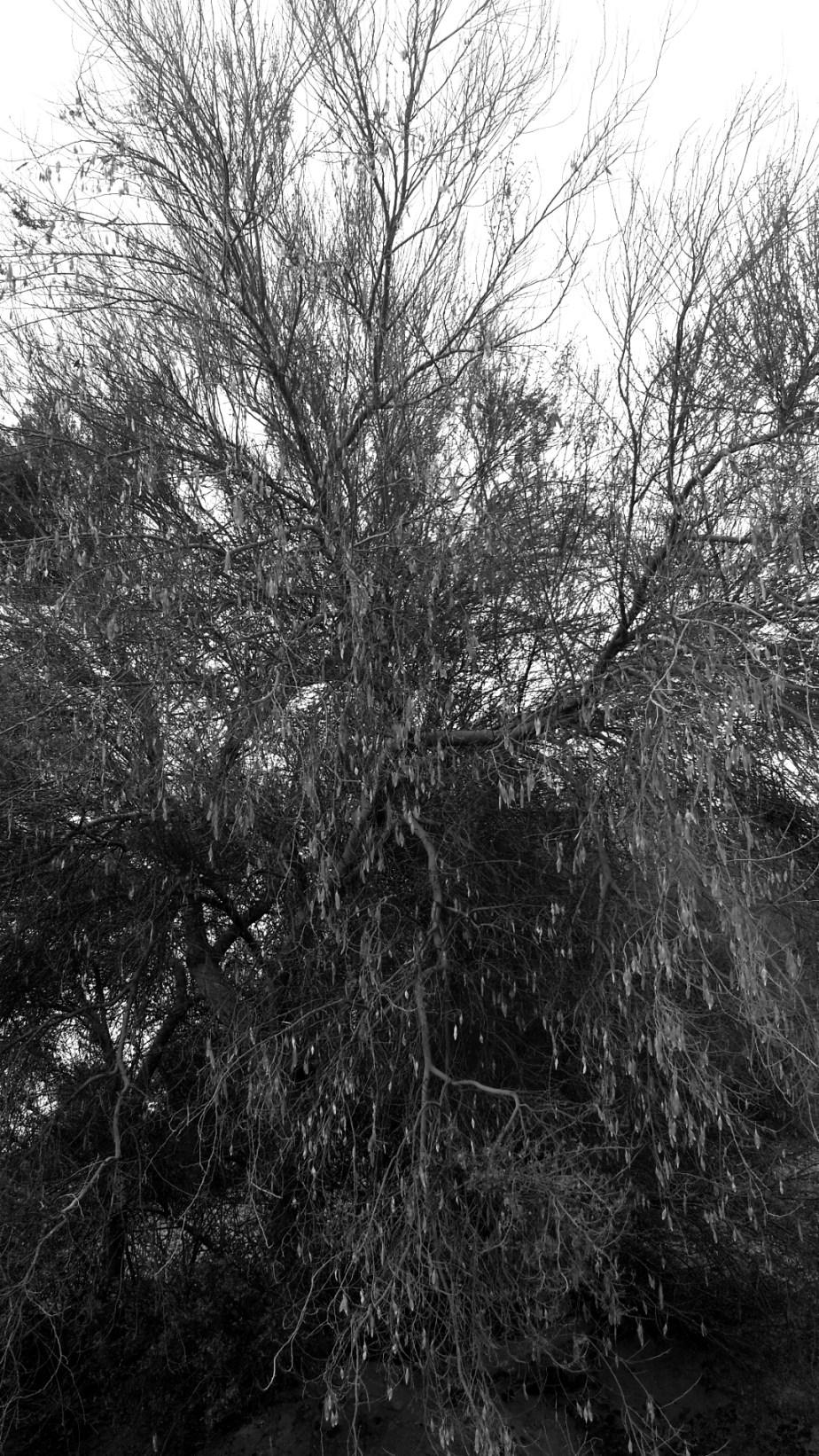 2014-03-19 08.55.28.jpg image