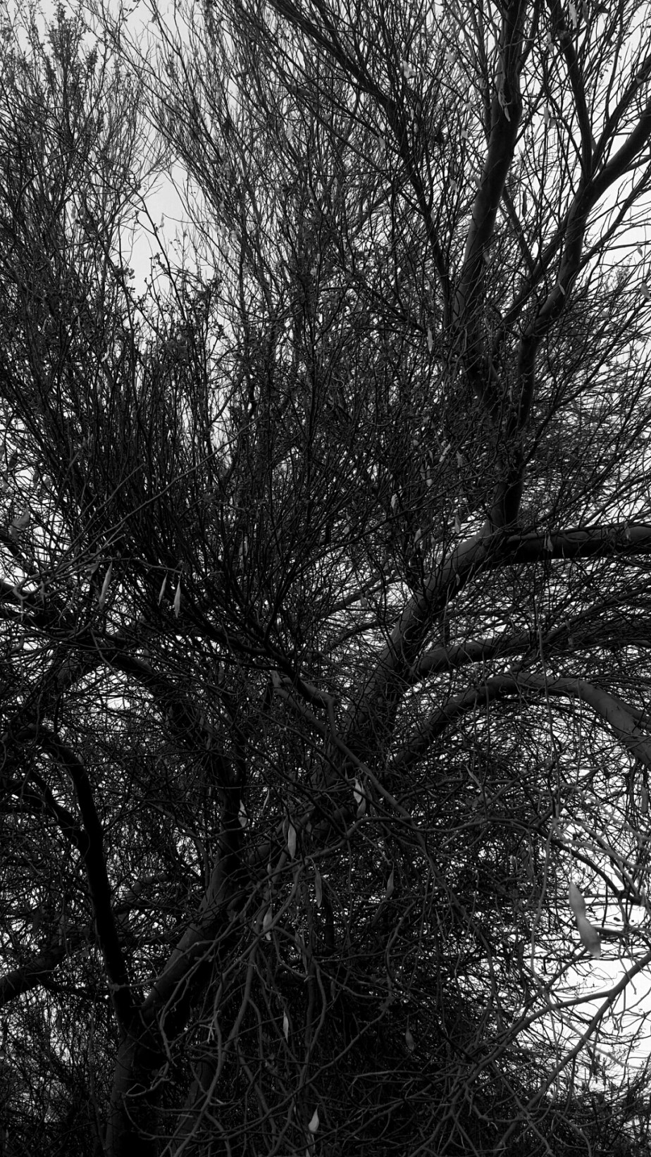 2014-03-19 09.10.25.jpg image