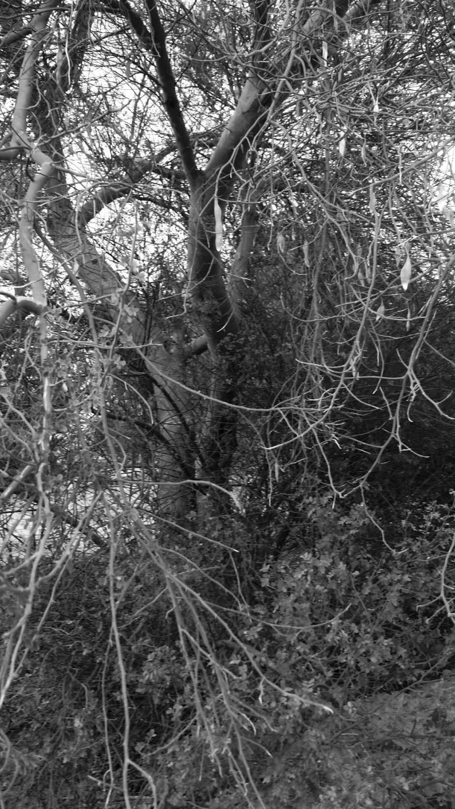 2014-03-19 09.13.24.jpg image