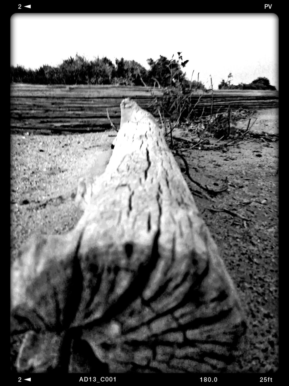 2014-03-19 22.58.29.jpg image