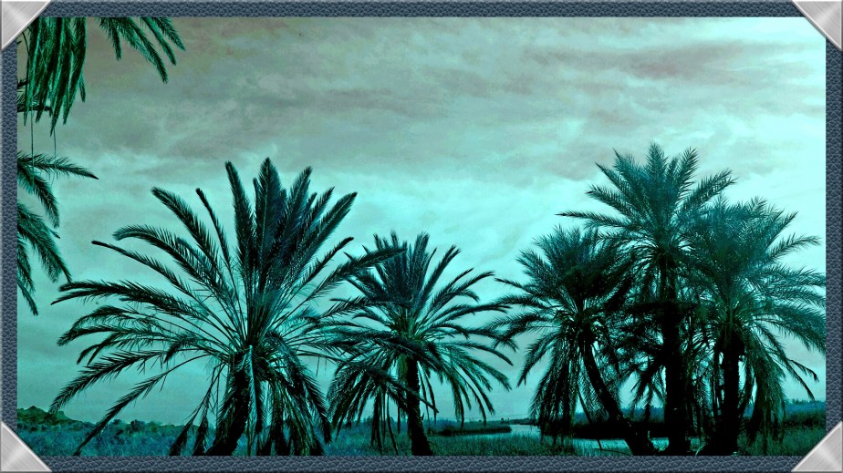 2014-03-23 16.25.18.jpg image