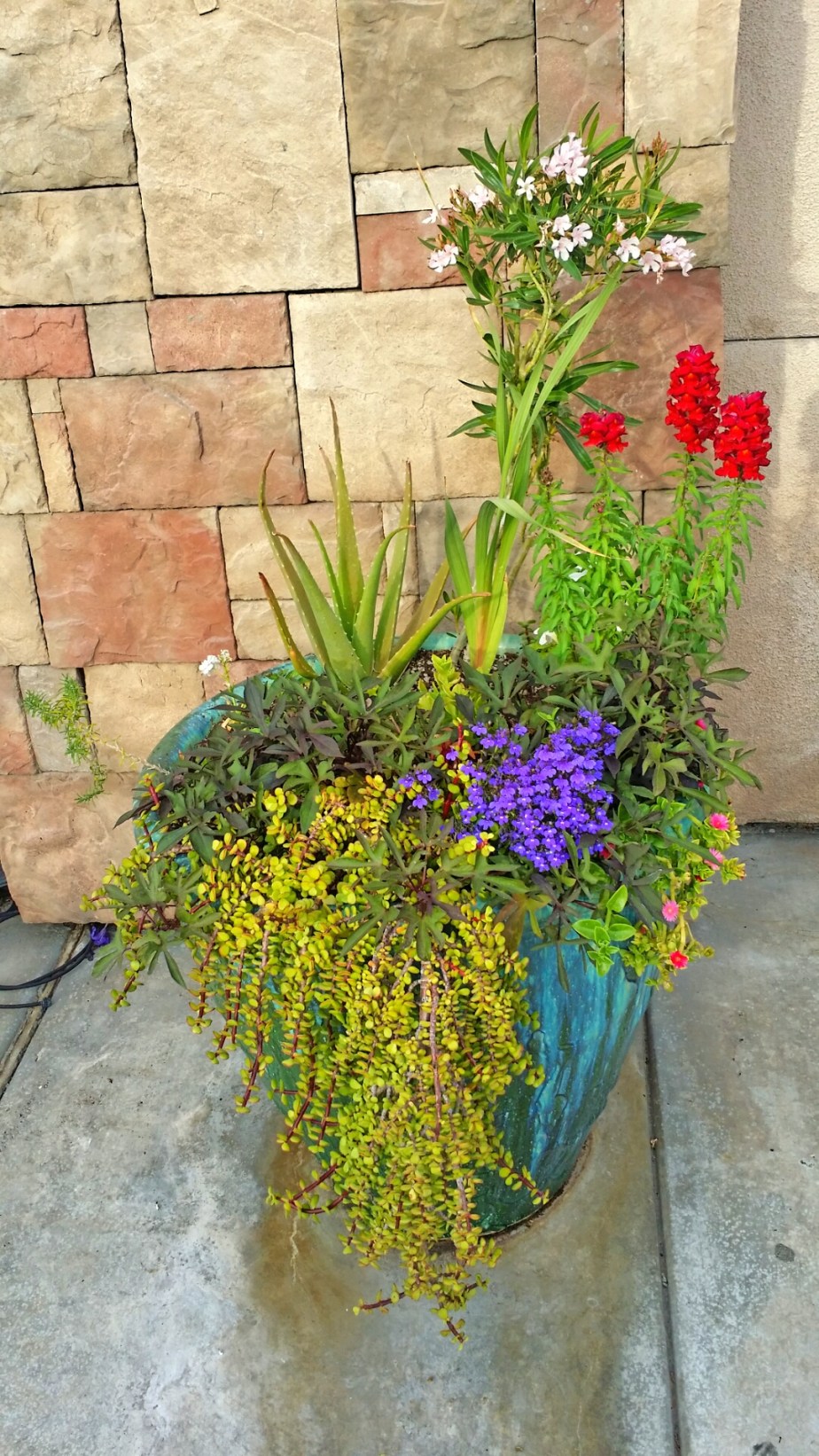 2014-03-23 17.25.44.jpg image