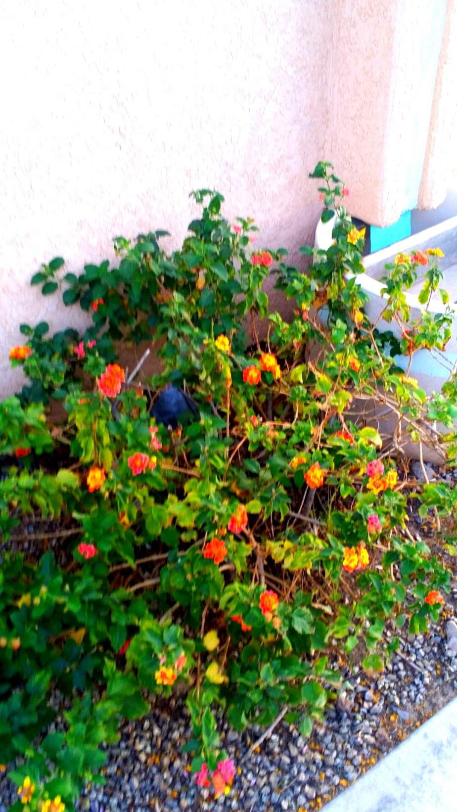 2014-03-23 20.27.00.jpg image