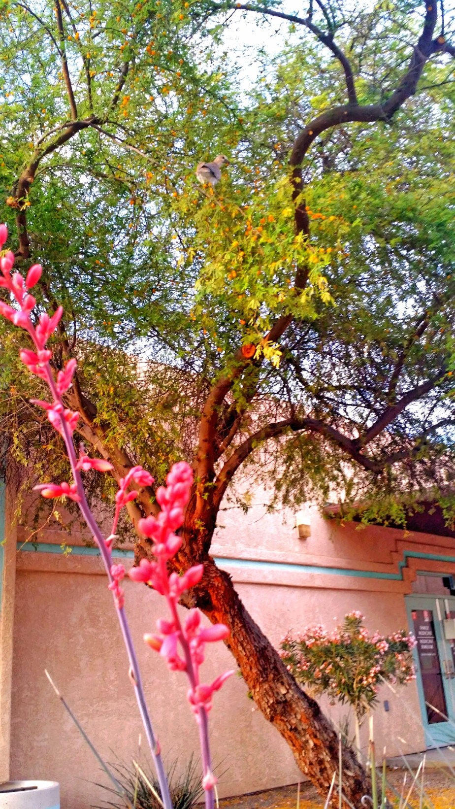 2014-03-23 20.28.05.jpg image