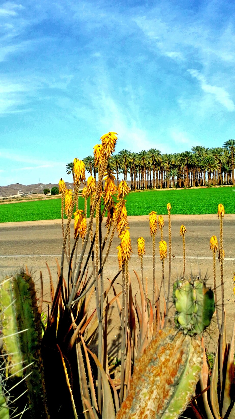 2014-03-23 20.29.31.jpg image