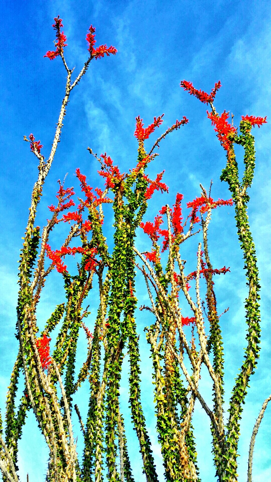 2014-03-23 20.32.25.jpg image