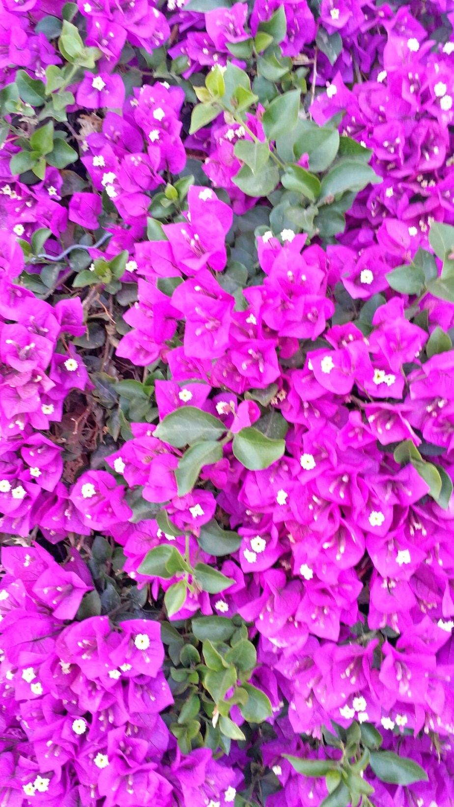 2014-03-23 20.34.02.jpg image