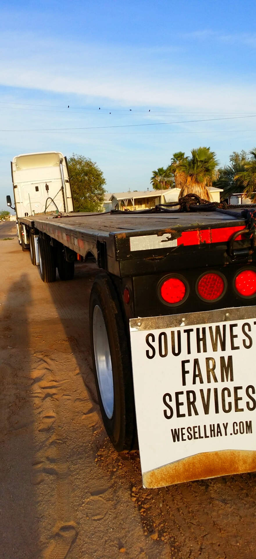 2014-03-29 22.18.36.jpg image