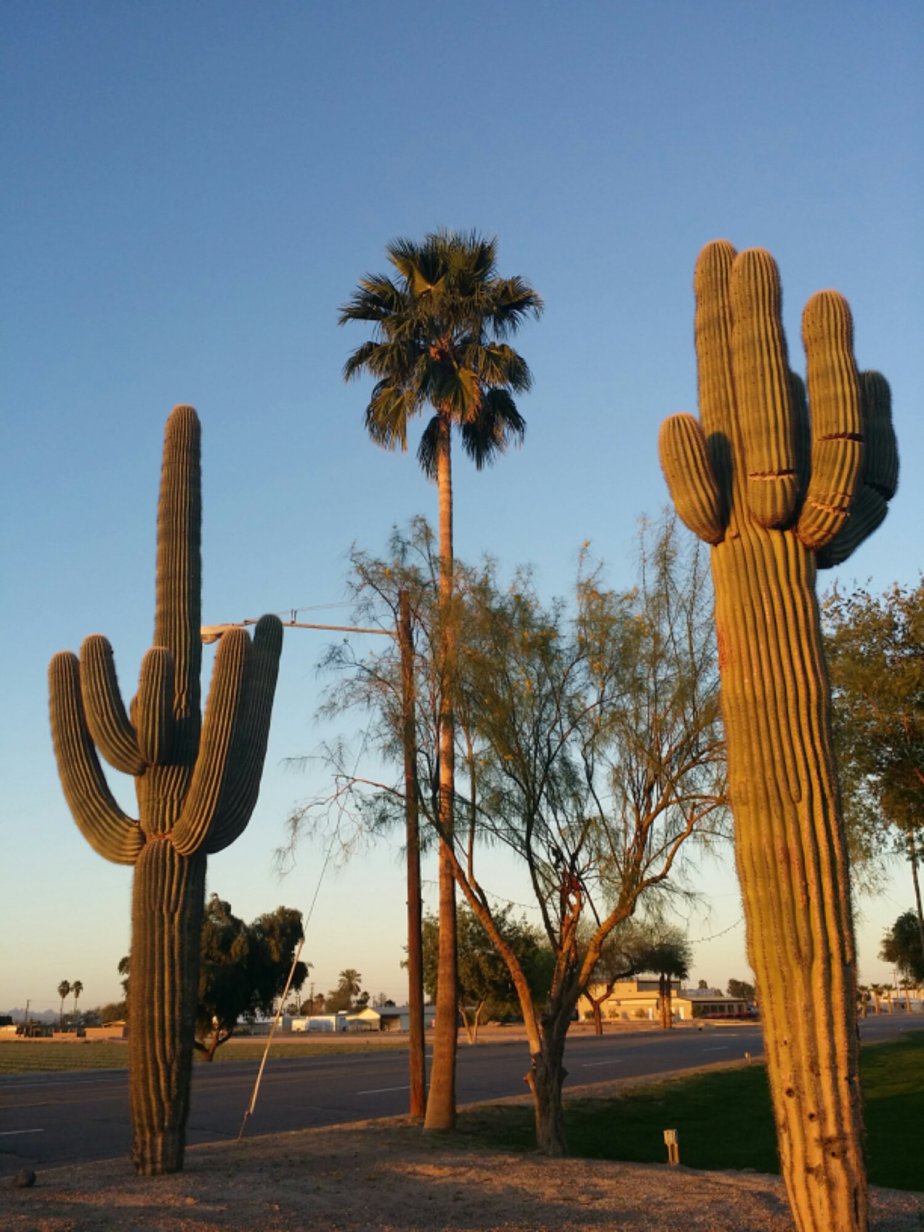 20140316_183434.jpg image