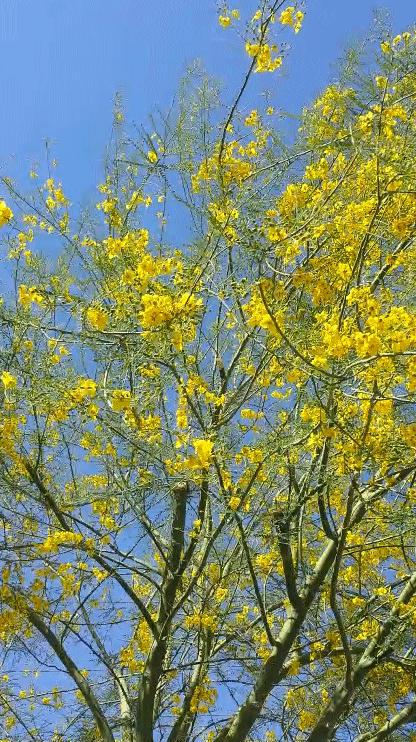 20140325_145017.gif image