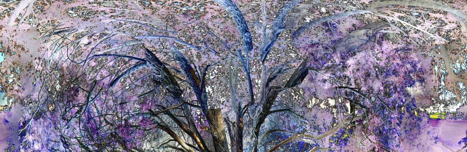 7350_new_2.JPG image