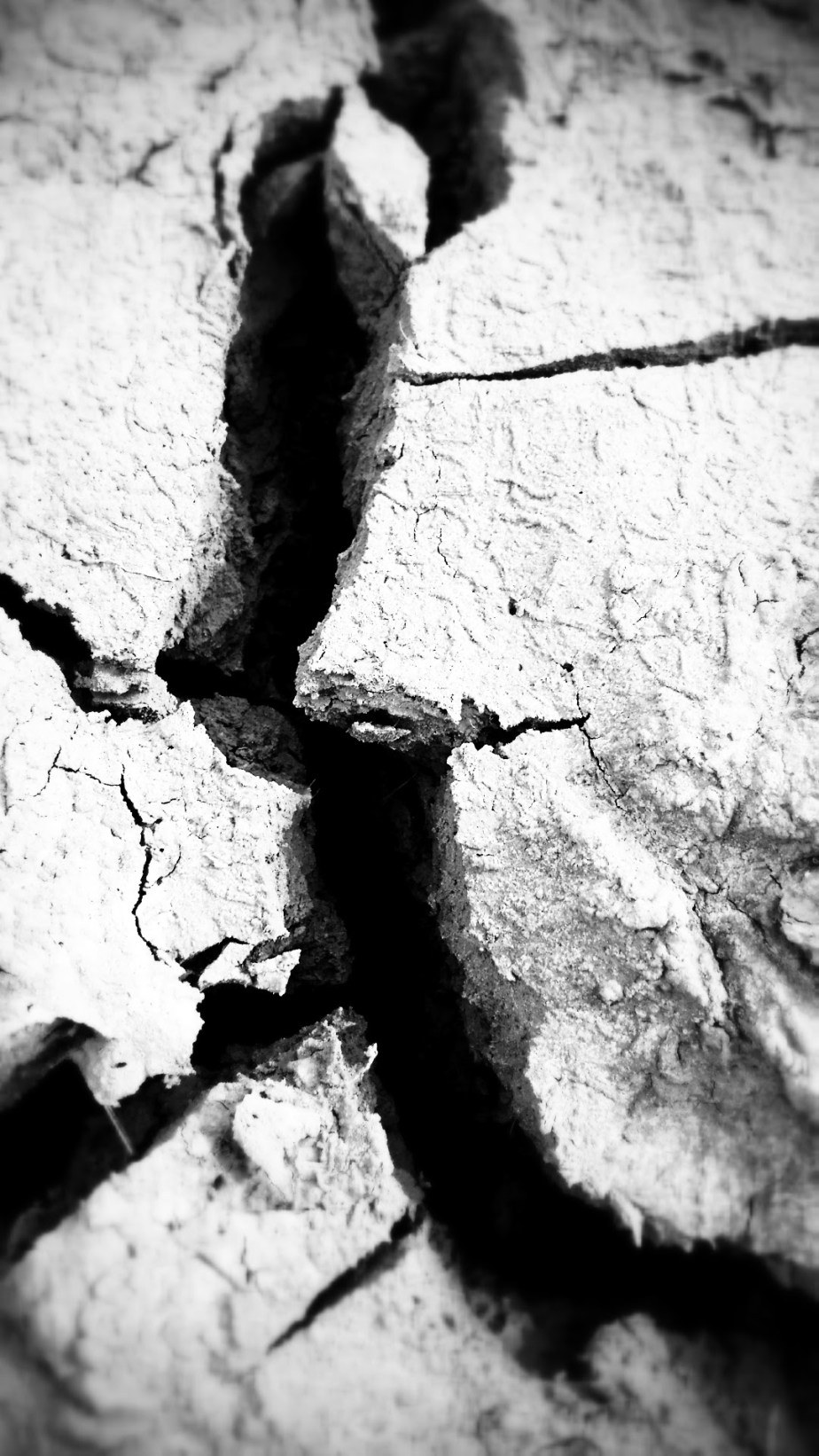 wp-1395448948304 image