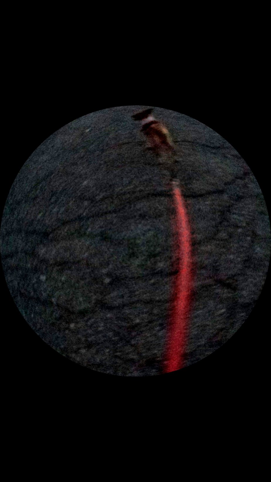 wp-1395818269126 image