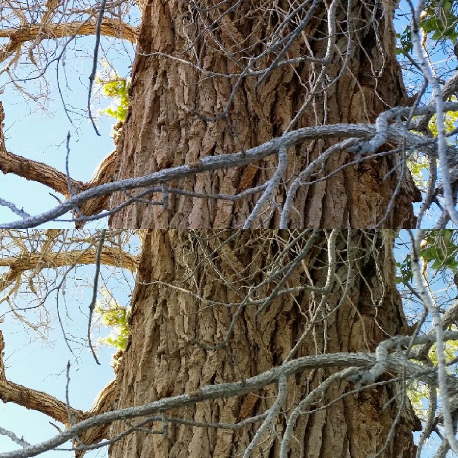 2014-05-20 11.34.12.jpg image