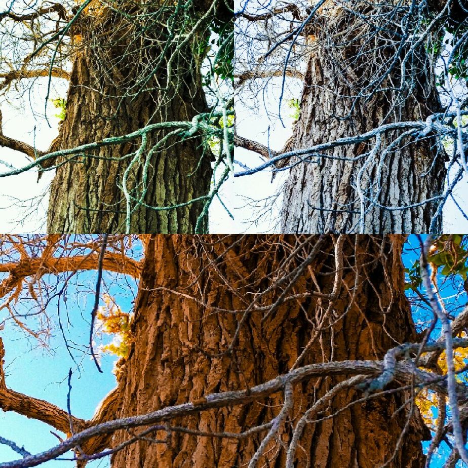 2014-05-20 11.34.29.jpg image