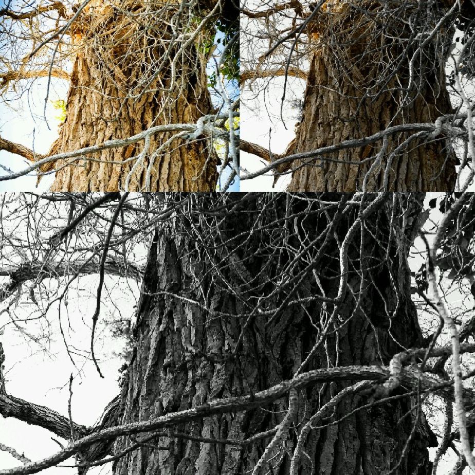 2014-05-20 11.34.55.jpg image