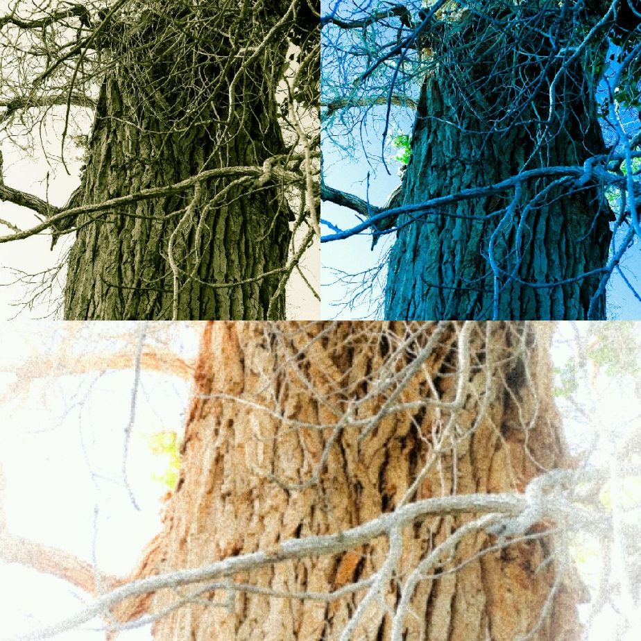 2014-05-20 11.35.13.jpg image