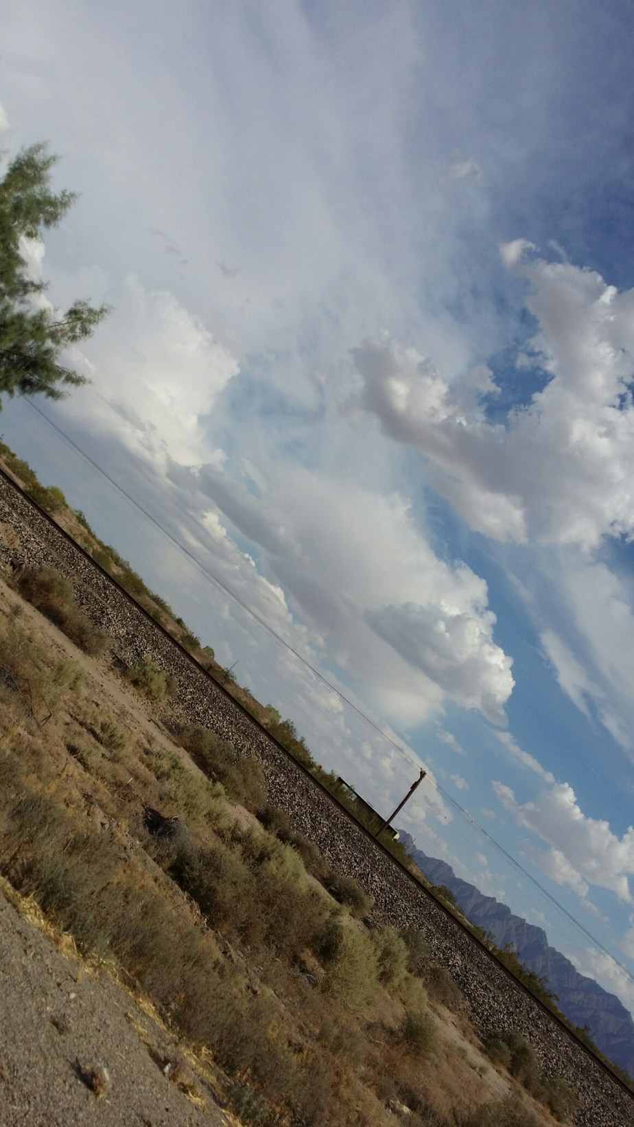 20140523_170434.jpg image