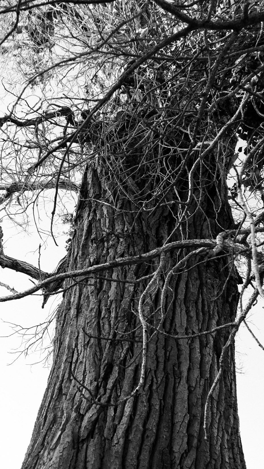 PSX_20140520_010604.jpg image